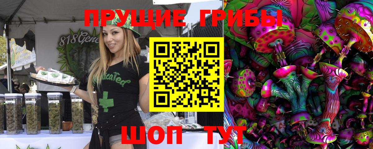 Тулун  Галлюциногенные грибы MAGIC MUSHROOMS  Вход с VPN 