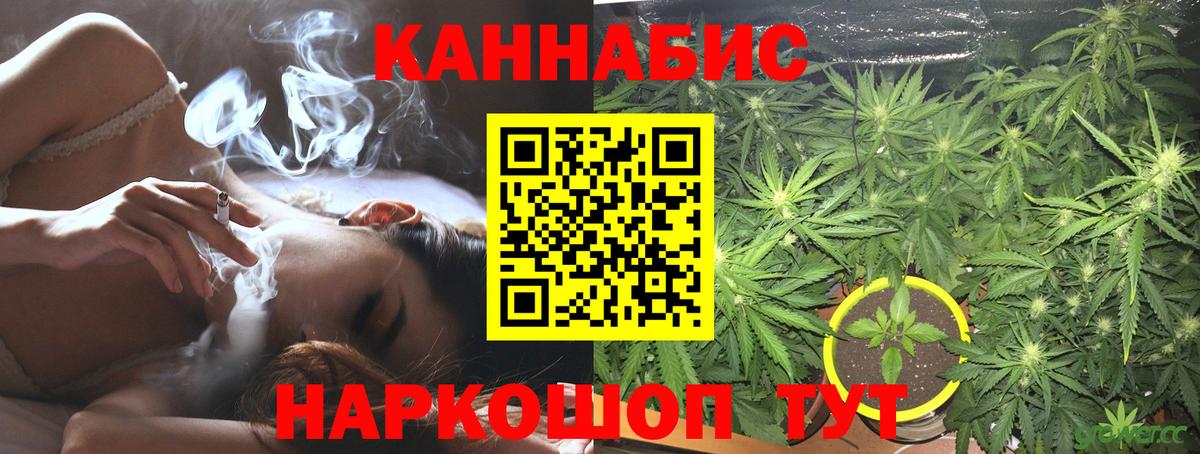 Бошки Шишки семена Тулун